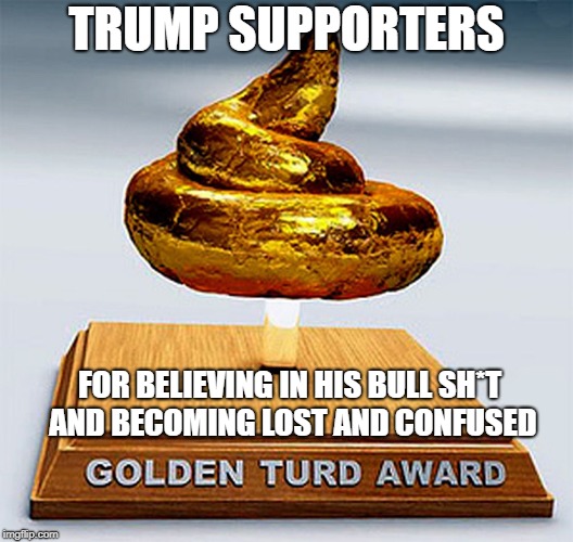 golden turd award | TRUMP SUPPORTERS; FOR BELIEVING IN HIS BULL SH*T AND BECOMING LOST AND CONFUSED | image tagged in golden turd award,trump supporters | made w/ Imgflip meme maker