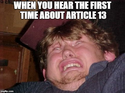WTF Meme | WHEN YOU HEAR THE FIRST TIME ABOUT ARTICLE 13 | image tagged in memes,wtf | made w/ Imgflip meme maker