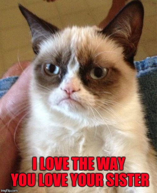 Grumpy Cat Meme | I LOVE THE WAY YOU LOVE YOUR SISTER | image tagged in memes,grumpy cat | made w/ Imgflip meme maker