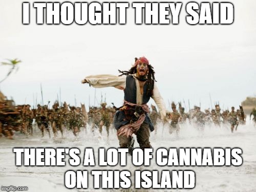 Jack Sparrow Being Chased Meme | I THOUGHT THEY SAID; THERE'S A LOT OF CANNABIS ON THIS ISLAND | image tagged in memes,jack sparrow being chased | made w/ Imgflip meme maker