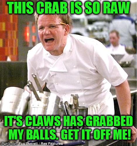 Chef Gordon Ramsay Meme | THIS CRAB IS SO RAW; IT'S CLAWS HAS GRABBED MY BALLS. GET IT OFF ME! | image tagged in memes,chef gordon ramsay | made w/ Imgflip meme maker