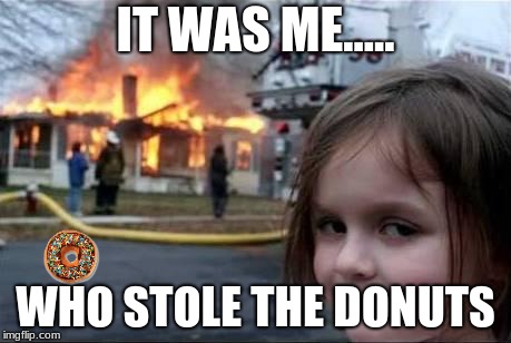 Burning House Girl | IT WAS ME..... WHO STOLE THE DONUTS | image tagged in burning house girl | made w/ Imgflip meme maker