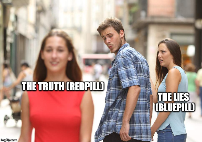 THE LIES 
(BLUEPILL); THE TRUTH
(REDPILL) | made w/ Imgflip meme maker