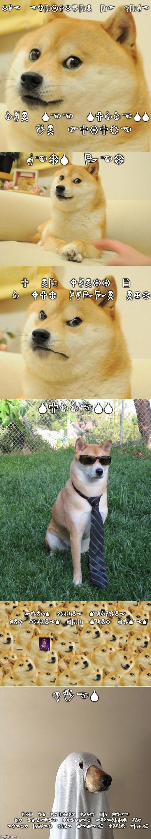 THE EVOLUTION OF DOGE; CAN SEE SUCCESS IN FUTURE; GETS PET; U NO WANTT 2 C WUT HAPPN NXT; SUCCESS; FINDS CLONE MACHINE AND CLONES TOO MANY TIMES; DIES; BUT IS BROUGHT BACK TO LIFE BY IMGFLIP TWITTER FACEBOOK AND EVERY OTHER DOGE MEME. THANK YOU. | image tagged in doge,evoloution,imgflip | made w/ Imgflip meme maker