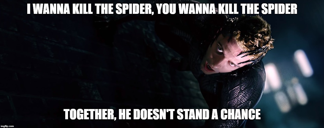 Interested? | I WANNA KILL THE SPIDER, YOU WANNA KILL THE SPIDER; TOGETHER, HE DOESN'T STAND A CHANCE | image tagged in interested,spiderman,spider-man 3,venom,stand a chance | made w/ Imgflip meme maker