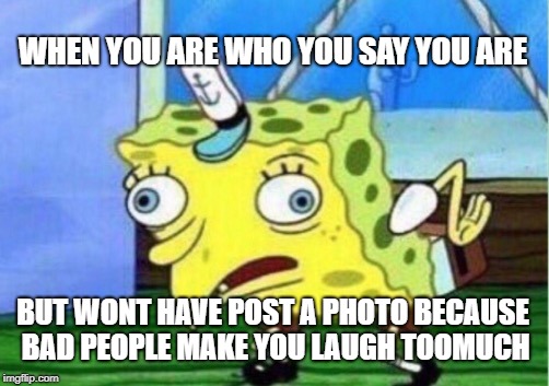 Mocking Spongebob Meme | WHEN YOU ARE WHO YOU SAY YOU ARE; BUT WONT HAVE POST A PHOTO BECAUSE BAD PEOPLE MAKE YOU LAUGH TOOMUCH | image tagged in memes,mocking spongebob | made w/ Imgflip meme maker