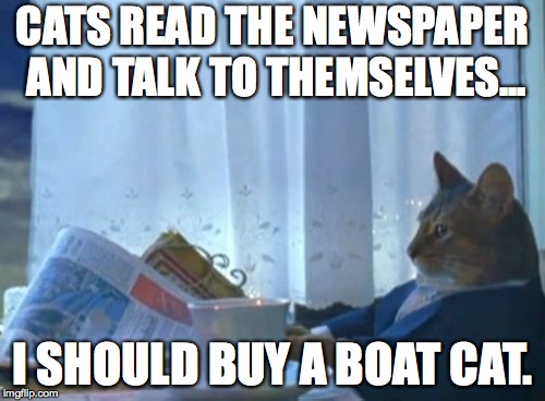 Cats Reading the Newspaper | CATS READ THE NEWSPAPER AND TALK TO THEMSELVES... I SHOULD BUY A BOAT CAT. | image tagged in memes,i should buy a boat cat,cats reading the newspaper | made w/ Imgflip meme maker