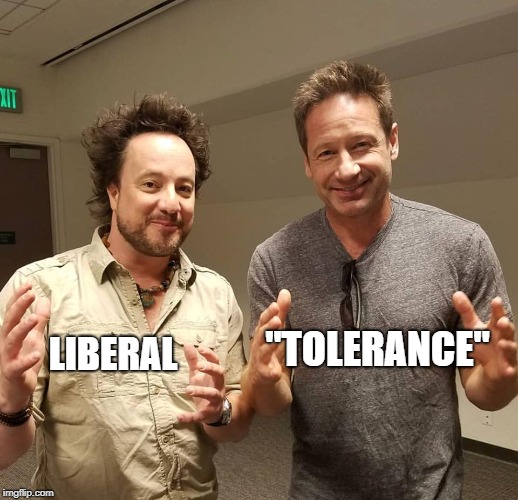 Double Aliens | "TOLERANCE" LIBERAL | image tagged in double aliens | made w/ Imgflip meme maker