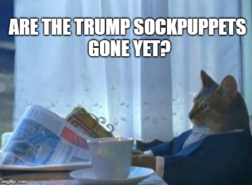 I Should Buy A Boat Cat Meme | ARE THE TRUMP SOCKPUPPETS GONE YET? | image tagged in memes,i should buy a boat cat | made w/ Imgflip meme maker