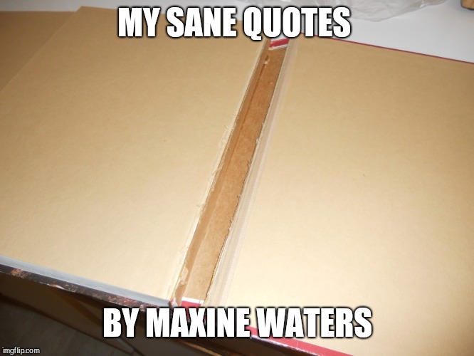 World's Shortest Book | MY SANE QUOTES; BY MAXINE WATERS | image tagged in world's shortest book,humor | made w/ Imgflip meme maker
