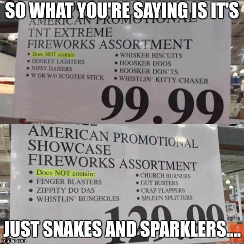 So all the good stuff is left out.... | SO WHAT YOU'RE SAYING IS IT'S; JUST SNAKES AND SPARKLERS.... | image tagged in memes,joe dirt,fireworks | made w/ Imgflip meme maker