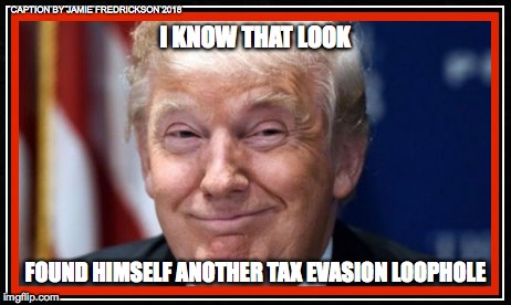 CAPTION BY JAMIE FREDRICKSON 2018; I KNOW THAT LOOK; FOUND HIMSELF ANOTHER TAX EVASION LOOPHOLE | image tagged in trump a dump 2 | made w/ Imgflip meme maker