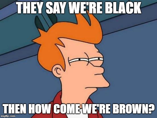 Futurama Fry | THEY SAY WE'RE BLACK; THEN HOW COME WE'RE BROWN? | image tagged in memes,futurama fry | made w/ Imgflip meme maker