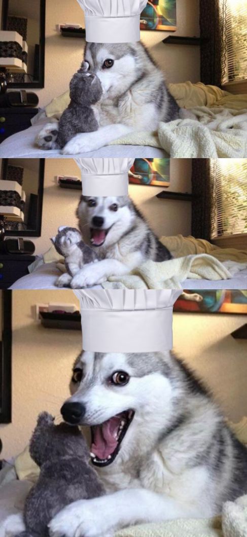 Bad Pun Dog Voila le Chef Blank Meme Template