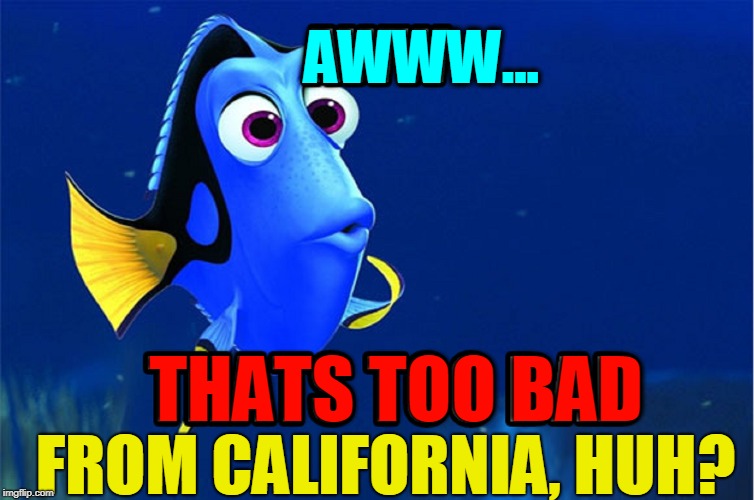 No Everyone can be from America | AWWW... THATS TOO BAD; FROM CALIFORNIA, HUH? | image tagged in vince vance,california,hotel california,illegal immigrant,sanctuary cities,high cost of living | made w/ Imgflip meme maker