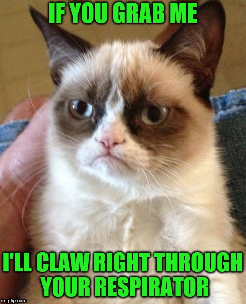 Grumpy Cat Meme | IF YOU GRAB ME I'LL CLAW RIGHT THROUGH YOUR RESPIRATOR | image tagged in memes,grumpy cat | made w/ Imgflip meme maker