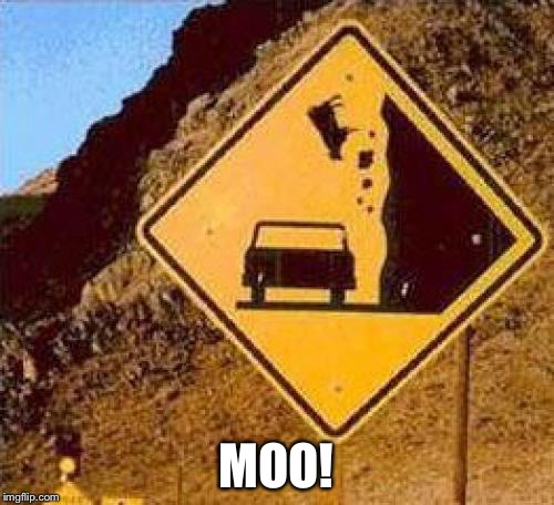 Falling Cows | MOO! | image tagged in falling cows | made w/ Imgflip meme maker