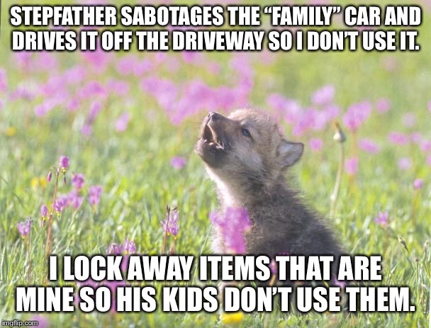 Baby Insanity Wolf Meme | STEPFATHER SABOTAGES THE “FAMILY” CAR AND DRIVES IT OFF THE DRIVEWAY SO I DON’T USE IT. I LOCK AWAY ITEMS THAT ARE MINE SO HIS KIDS DON’T USE THEM. | image tagged in memes,baby insanity wolf,AdviceAnimals | made w/ Imgflip meme maker
