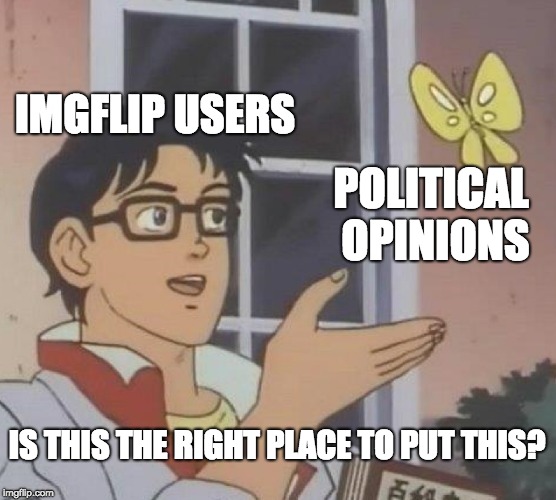 Fellas it's a meme site | IMGFLIP USERS; POLITICAL OPINIONS; IS THIS THE RIGHT PLACE TO PUT THIS? | image tagged in memes,is this a pigeon | made w/ Imgflip meme maker