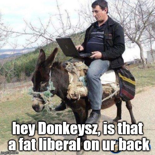 hey Donkeysz, is that a fat liberal on ur back | made w/ Imgflip meme maker