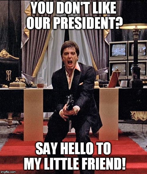 Resistance: Say Hello | YOU DON'T LIKE OUR PRESIDENT? SAY HELLO TO MY LITTLE FRIEND! | image tagged in president trump | made w/ Imgflip meme maker