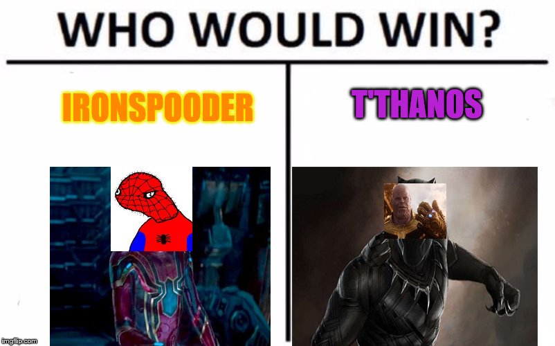 Who Would Win? | T'THANOS; IRONSPOODER | image tagged in memes,who would win | made w/ Imgflip meme maker