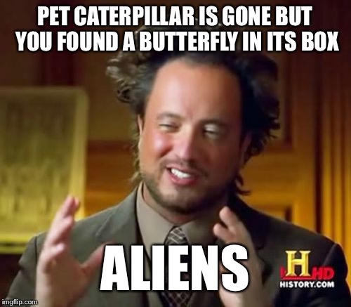 Ancient Aliens Meme | PET CATERPILLAR IS GONE BUT YOU FOUND A BUTTERFLY IN ITS BOX; ALIENS | image tagged in memes,ancient aliens | made w/ Imgflip meme maker