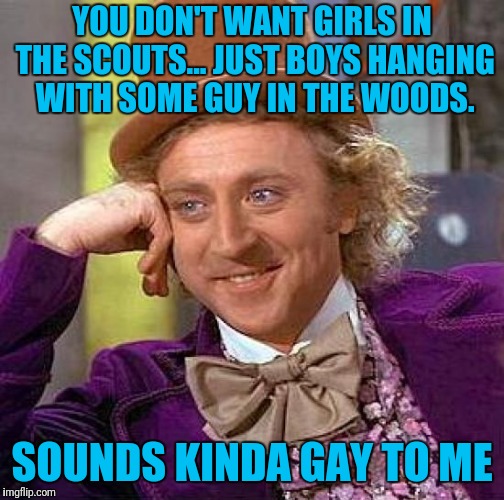 Creepy Condescending Wonka Meme | YOU DON'T WANT GIRLS IN THE SCOUTS... JUST BOYS HANGING WITH SOME GUY IN THE WOODS. SOUNDS KINDA GAY TO ME | image tagged in memes,creepy condescending wonka | made w/ Imgflip meme maker