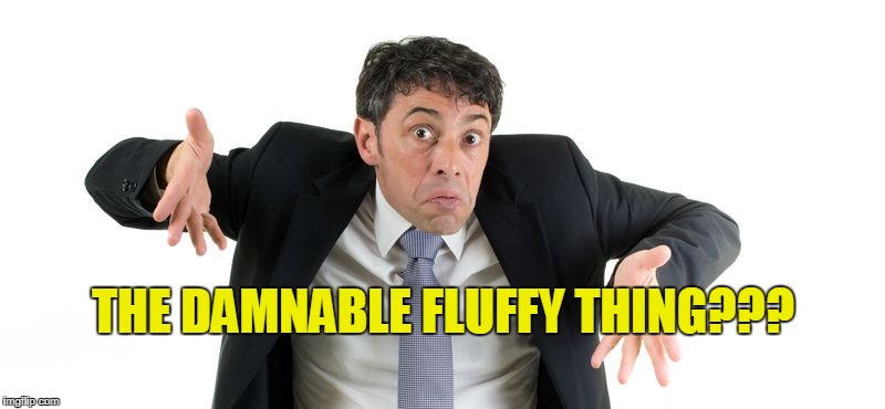 THE DAMNABLE FLUFFY THING??? | made w/ Imgflip meme maker