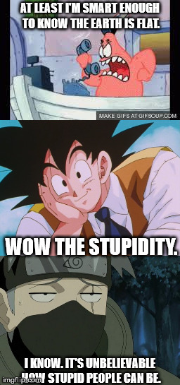 what goes on in life. | AT LEAST I'M SMART ENOUGH TO KNOW THE EARTH IS FLAT. WOW THE STUPIDITY. I KNOW. IT'S UNBELIEVABLE HOW STUPID PEOPLE CAN BE. | image tagged in stupidity,vs,intelligence | made w/ Imgflip meme maker