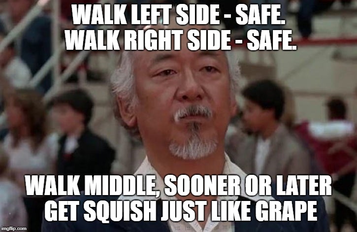 WALK LEFT SIDE - SAFE. WALK RIGHT SIDE - SAFE. WALK MIDDLE, SOONER OR LATER GET SQUISH JUST LIKE GRAPE | made w/ Imgflip meme maker