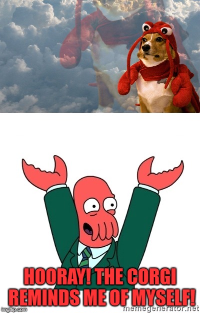 The corgi in the lobster costume reminds me of Zoidberg from Futurama. | HOORAY! THE CORGI REMINDS ME OF MYSELF! | image tagged in zoidberg,futurama,corgi,hooray zoidberg | made w/ Imgflip meme maker