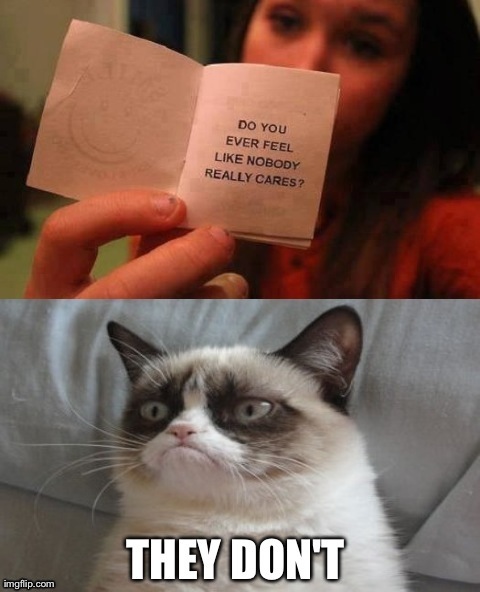 Grumpy Cat