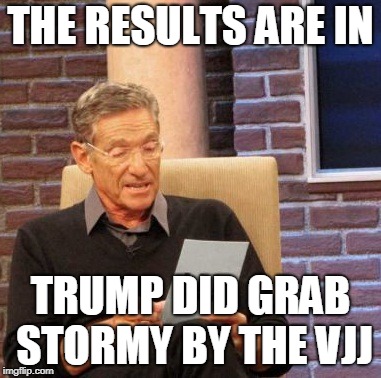 Maury Lie Detector | THE RESULTS ARE IN; TRUMP DID GRAB STORMY BY THE VJJ | image tagged in memes,maury lie detector | made w/ Imgflip meme maker