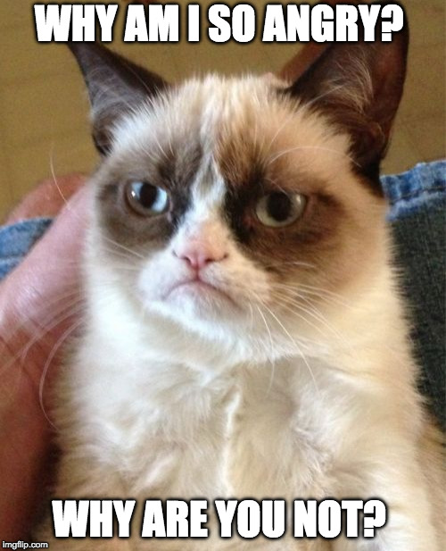 why are you not angry? | WHY AM I SO ANGRY? WHY ARE YOU NOT? | image tagged in memes,grumpy cat,angry | made w/ Imgflip meme maker