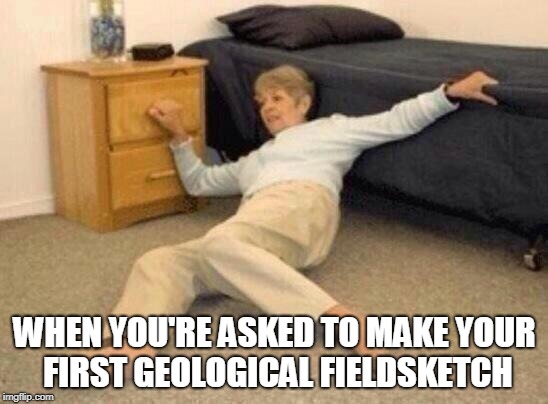 woman falling in shock | WHEN YOU'RE ASKED TO MAKE YOUR FIRST GEOLOGICAL FIELDSKETCH | image tagged in woman falling in shock | made w/ Imgflip meme maker