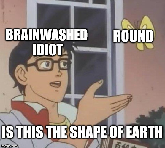 Is This A Pigeon | ROUND; BRAINWASHED IDIOT; IS THIS THE SHAPE OF EARTH | image tagged in memes,is this a pigeon | made w/ Imgflip meme maker