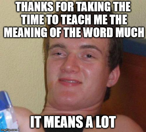stoned guy | THANKS FOR TAKING THE TIME TO TEACH ME THE MEANING OF THE WORD MUCH; IT MEANS A LOT | image tagged in stoned guy | made w/ Imgflip meme maker