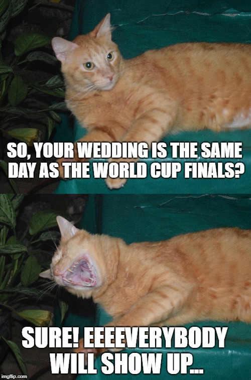 LMAO Cat | SO, YOUR WEDDING IS THE SAME DAY AS THE WORLD CUP FINALS? SURE! EEEEVERYBODY WILL SHOW UP... | image tagged in laughing cat,cat,laugh,laughter,laughing,cats | made w/ Imgflip meme maker