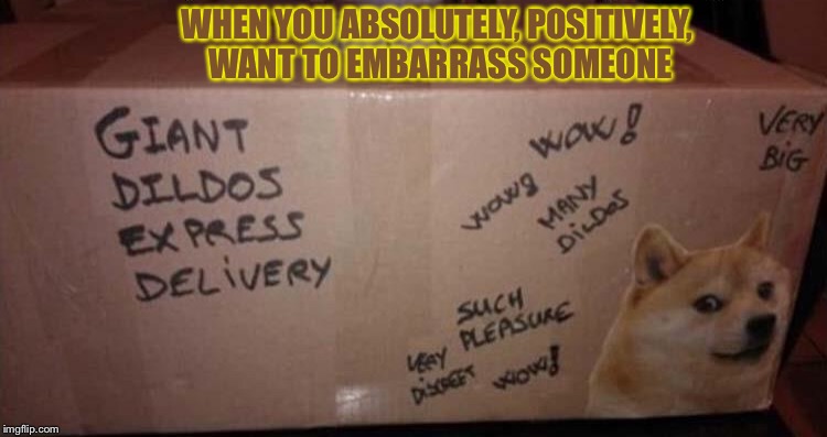 Very discreet my a$$. | WHEN YOU ABSOLUTELY, POSITIVELY, WANT TO EMBARRASS SOMEONE | image tagged in special delivery,doge,memes,funny | made w/ Imgflip meme maker