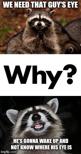 WE NEED THAT GUY'S EYE; HE'S GONNA WAKE UP AND NOT KNOW WHERE HIS EYE IS | image tagged in racoon,funny,why | made w/ Imgflip meme maker