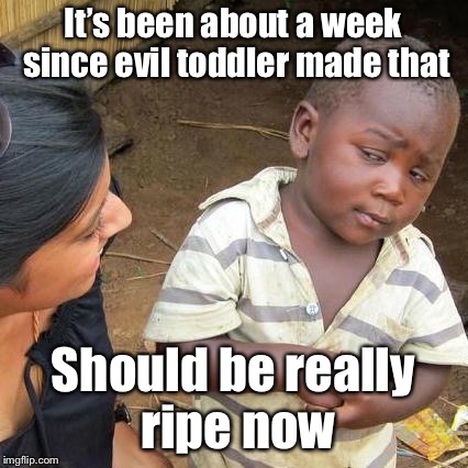 Third World Skeptical Kid Meme | It’s been about a week since evil toddler made that Should be really ripe now | image tagged in memes,third world skeptical kid | made w/ Imgflip meme maker