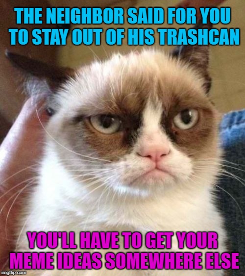 Trashy Memes |  THE NEIGHBOR SAID FOR YOU TO STAY OUT OF HIS TRASHCAN; YOU'LL HAVE TO GET YOUR MEME IDEAS SOMEWHERE ELSE | image tagged in memes,grumpy cat reverse,grumpy cat,trash | made w/ Imgflip meme maker