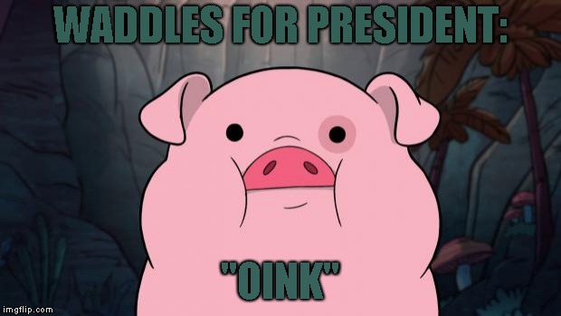 Gravity Falls | WADDLES FOR PRESIDENT:; "OINK" | image tagged in gravity falls | made w/ Imgflip meme maker