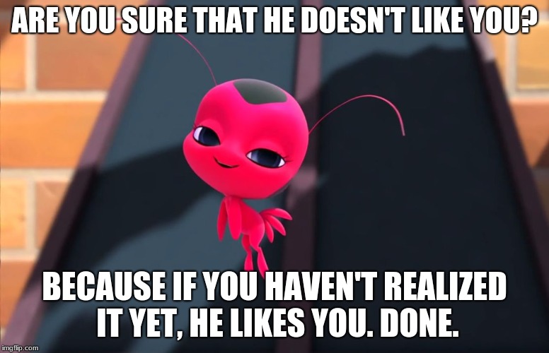 Tikki and Adrienette | ARE YOU SURE THAT HE DOESN'T LIKE YOU? BECAUSE IF YOU HAVEN'T REALIZED IT YET, HE LIKES YOU. DONE. | image tagged in miraculous bedroom eyes,miraculous ladybug,marinette,tikki | made w/ Imgflip meme maker