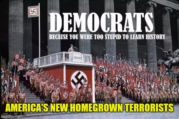 AMERICA'S NEW HOMEGROWN TERRORISTS | image tagged in democrats because you were too stupid to learn history | made w/ Imgflip meme maker