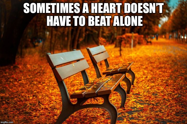 Beginning again  | SOMETIMES A HEART DOESN’T HAVE TO BEAT ALONE | image tagged in love | made w/ Imgflip meme maker