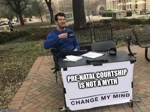 Change My Mind Meme | PRE-NATAL COURTSHIP IS NOT A MYTH | image tagged in change my mind | made w/ Imgflip meme maker