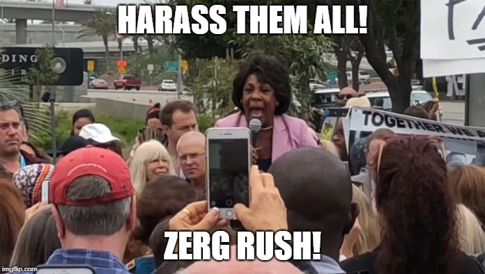 HARASS THEM ALL! ZERG RUSH! | image tagged in maxine waters | made w/ Imgflip meme maker