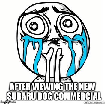 Crying Face | AFTER VIEWING THE NEW  SUBARU DOG COMMERCIAL | image tagged in crying face | made w/ Imgflip meme maker